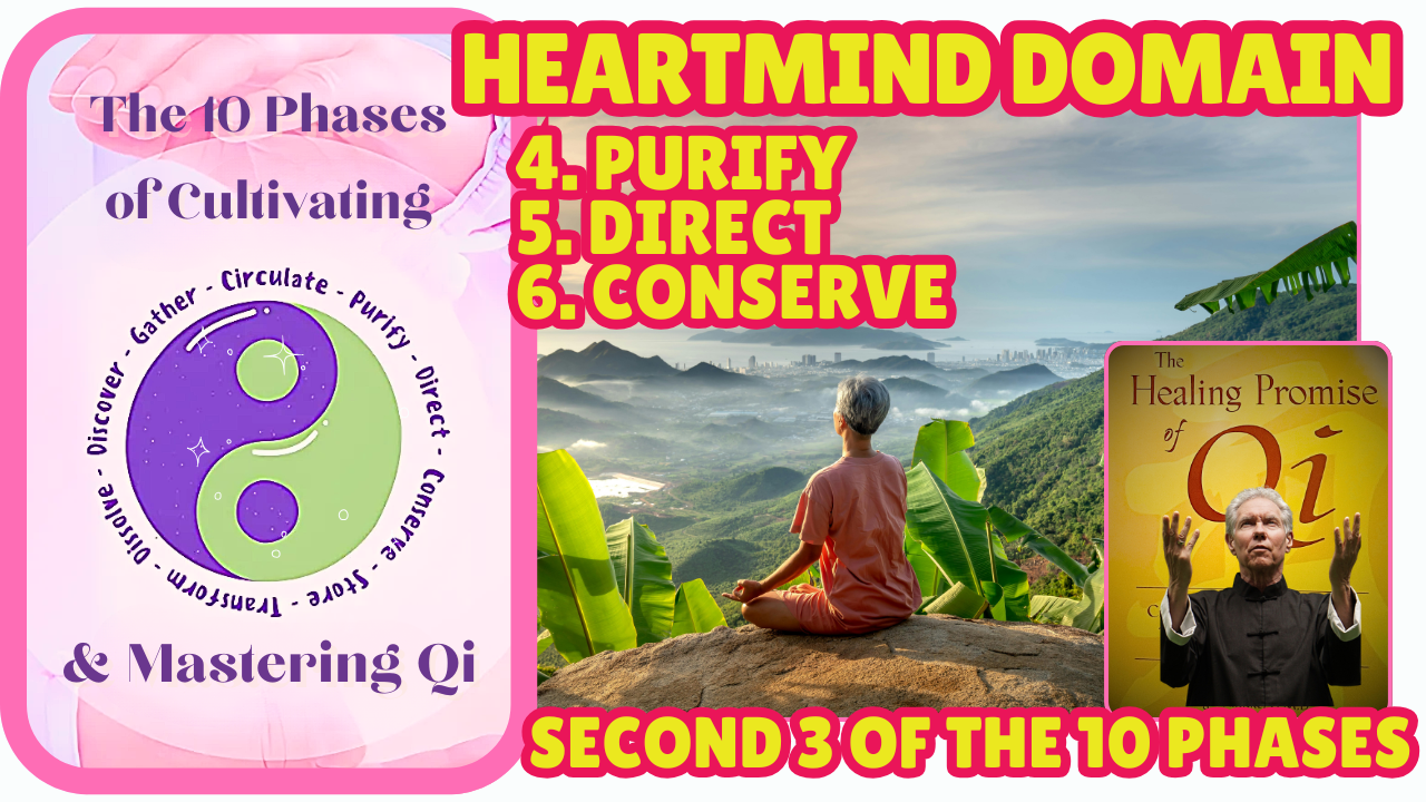 HeartMind Domain 10 Phases